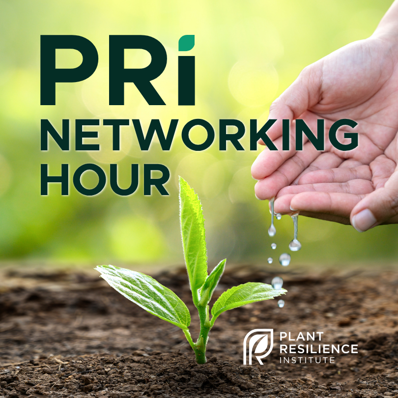 A graphic featuring a background image of hands dripping water onto a green plant seedling growing in soil. The graphic includes the PRI logo and the following text: PRI Networking Hour