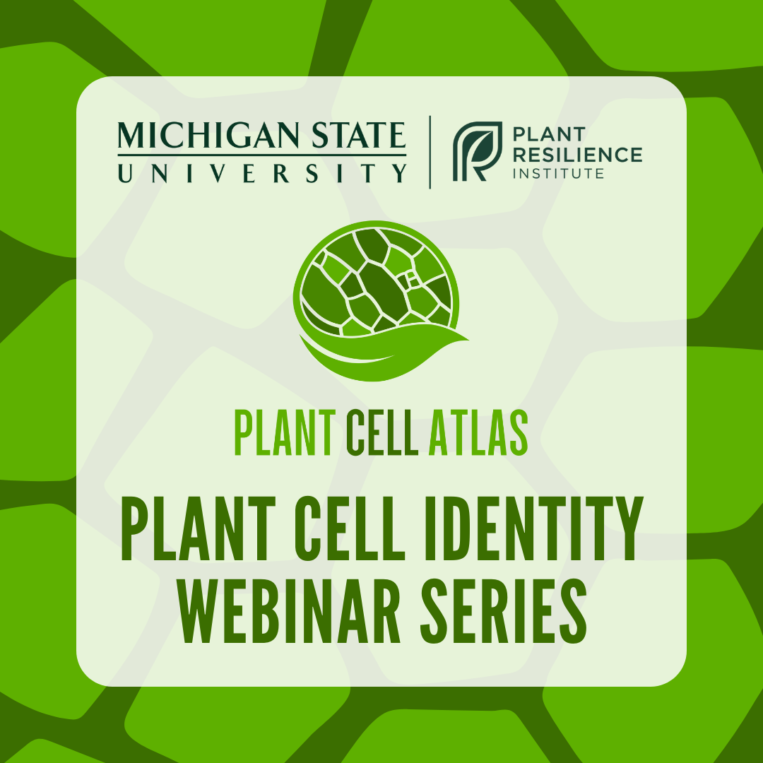 A graphic featuring a green plant cell background with the MSU Plant Resilience Institute and Plant Cell Atlas logos. The text says: Plant Cell Identity Webinar Series.