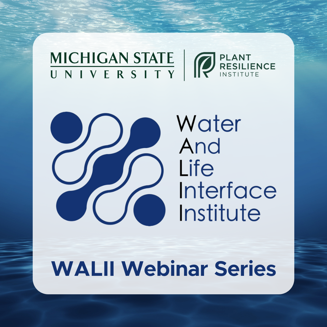 A graphic featuring an underwater background image with the MSU Plant Resilience Institute and WALII logos. The text says: â€œWALII Webinar Seriesâ€
